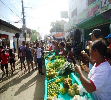 Produção Agroecológica (1).jpg